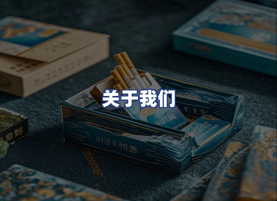 专业团队